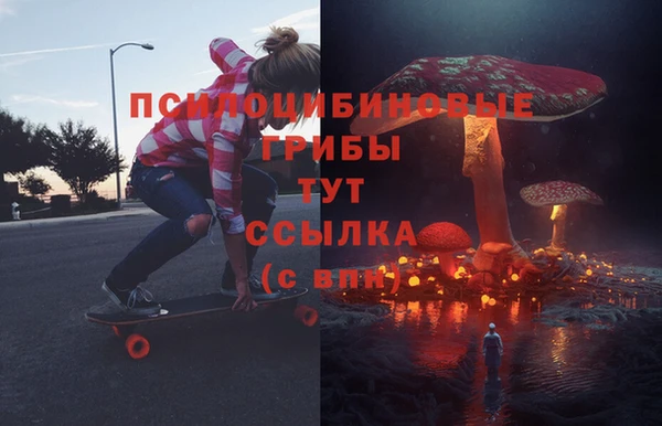 гидропоника Алексеевка