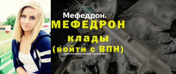 индика Гусев